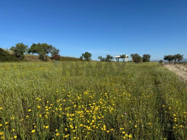 Terreno in vendita a Pachino