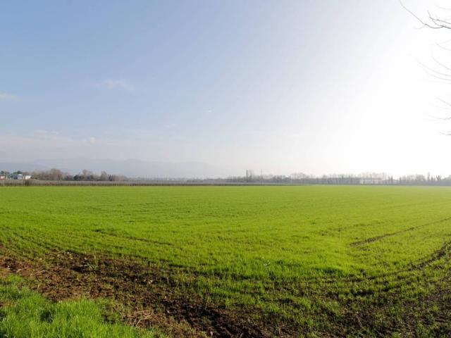 Terreno in vendita a Paderno Franciacorta BS