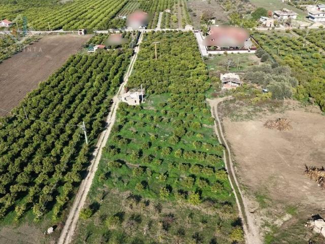 Terreno in vendita a Palagonia CT
