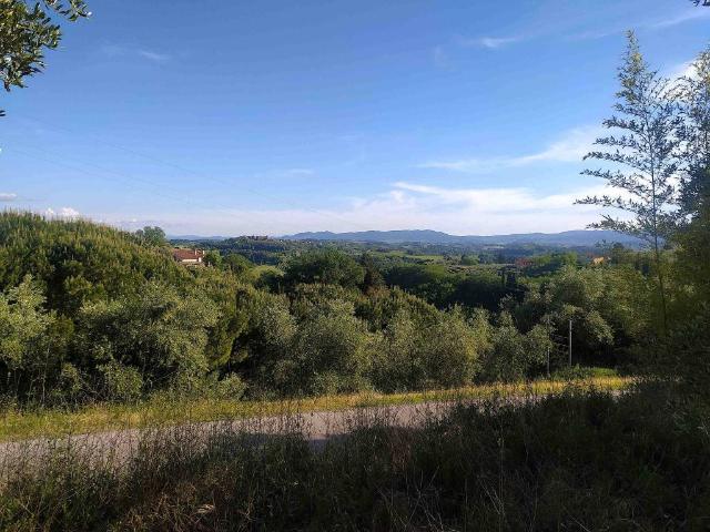 Terreno in vendita a Palaia PI