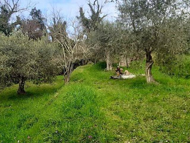 Terreno in vendita a Palaia PI