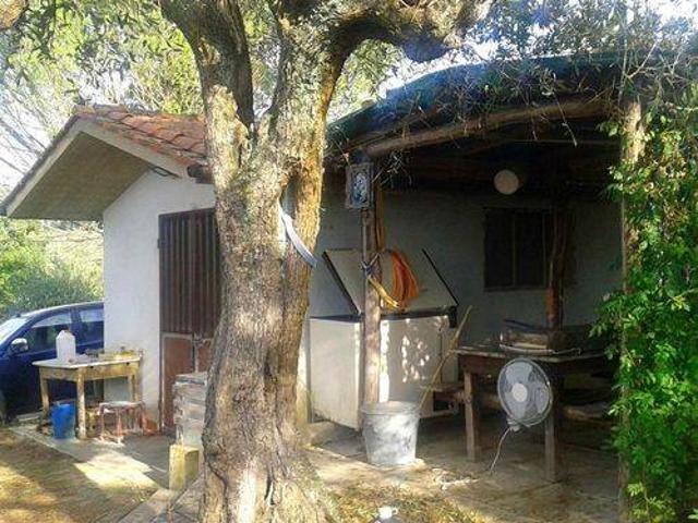 Terreno in vendita a Palaia PI