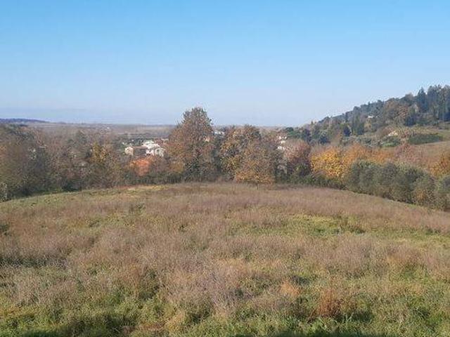 Terreno in vendita a Palaia PI