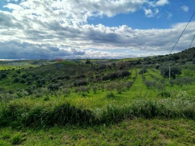 Terreno in vendita a Palazzolo Acreide SR