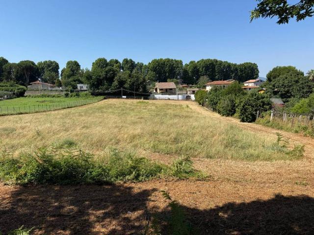Terreno in vendita a Palestrina RM