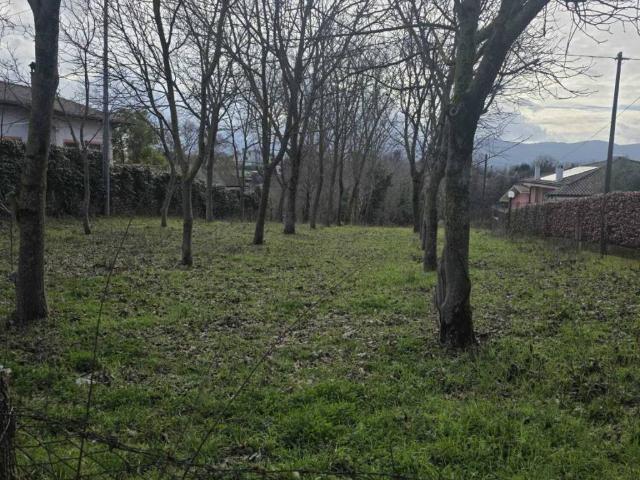 Terreno in vendita a Palestrina RM