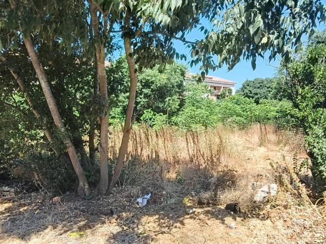Terreno in vendita a Palermo PA