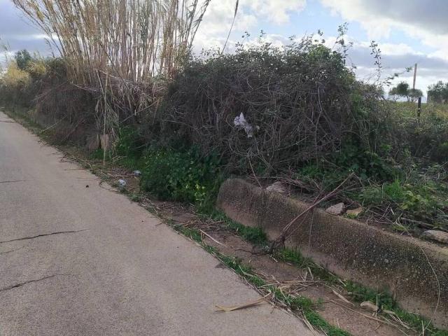 Terreno in vendita a Partinico PA
