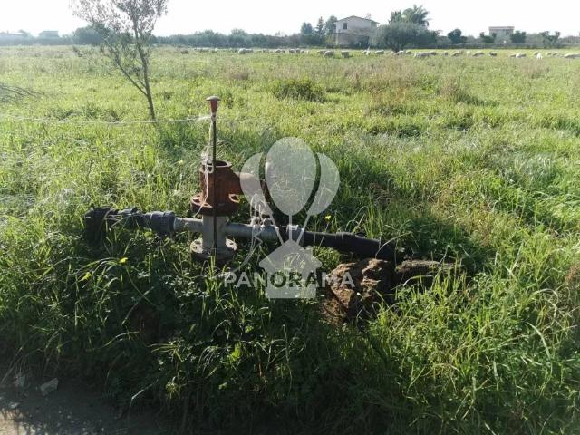 Terreno in vendita a Partinico PA