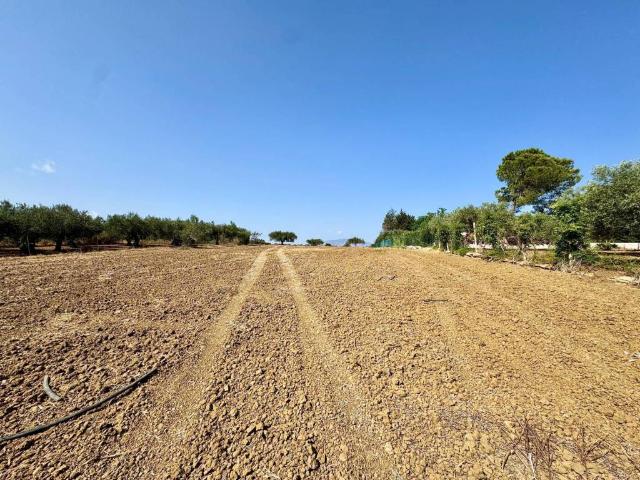 Terreno in vendita a Partinico PA