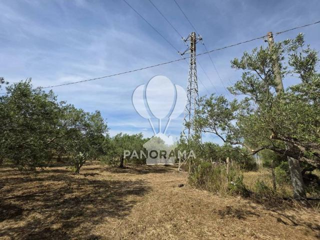 Terreno in vendita a Partinico PA
