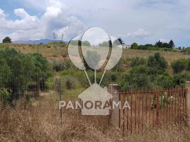 Terreno in vendita a Partinico PA