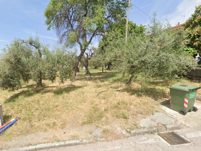 Terreno in vendita a Passignano sul Trasimeno PG