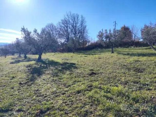 Terreno in vendita a Paterno Calabro CS
