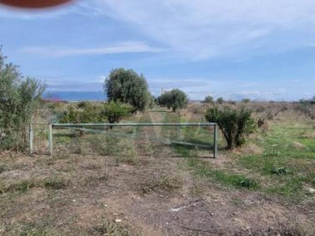 Terreno in vendita a Paternò