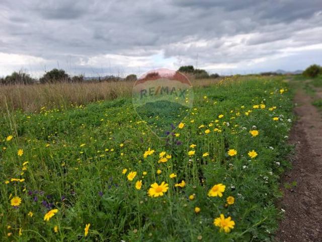 Terreno in vendita a Paternò