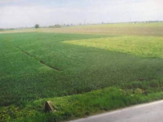 Terreno in vendita a Patrica FR