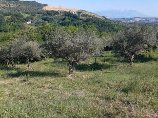 Terreno in vendita a Penne PE