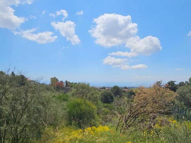 Terreno in vendita a Pedara CT