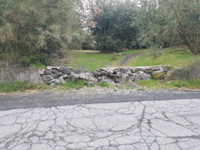 Terreno in vendita a Pedara CT