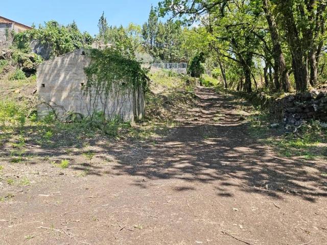 Terreno in vendita a Pedara CT