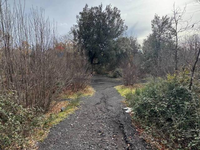 Terreno in vendita a Pedara CT