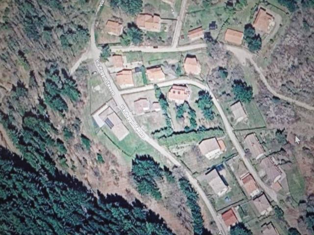 Terreno in vendita a Pelago FI
