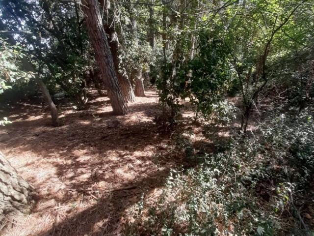 Terreno in vendita a Perugia PG