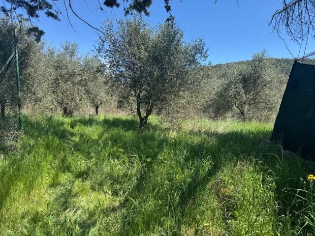 Terreno in vendita a Perugia PG