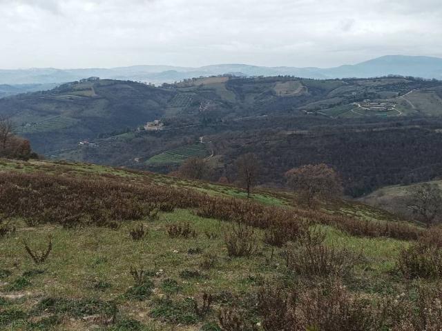 Terreno in vendita a Perugia PG