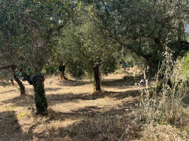 Terreno in vendita a Perdifumo SA