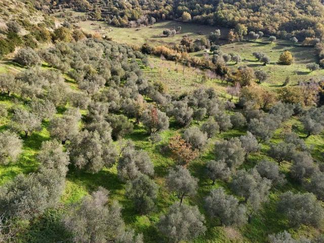 Terreno in vendita a Perdifumo SA