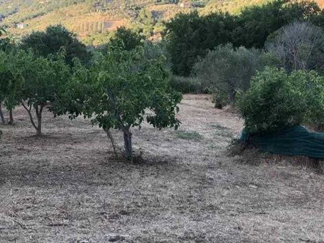 Terreno in vendita a Perdifumo SA