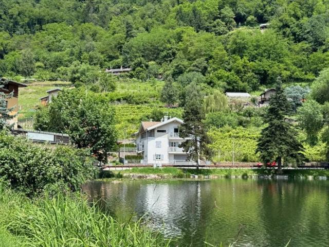 Terreno in vendita a Pergine Valsugana TN