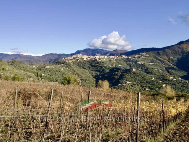 Terreno in vendita a Perinaldo IM