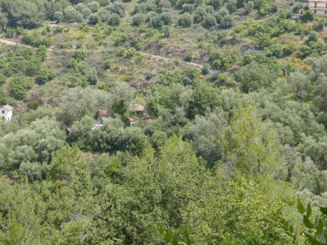 Terreno in vendita a Perinaldo IM