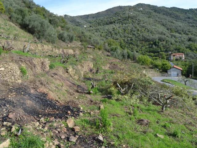Terreno in vendita a Perinaldo IM