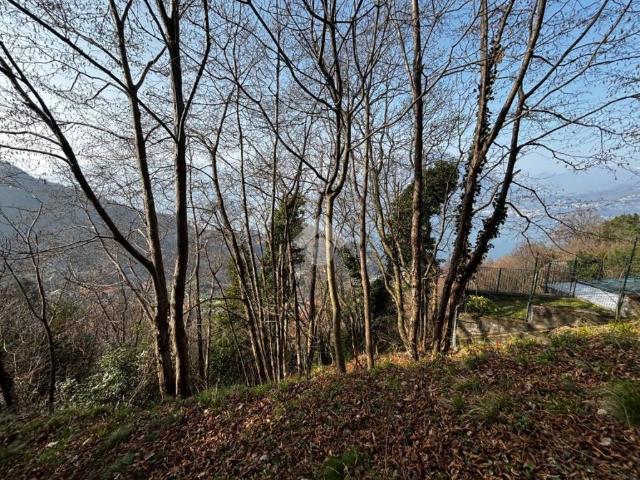 Terreno in vendita a Perledo LC