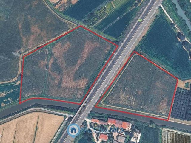 Terreno in vendita a Pernumia PD