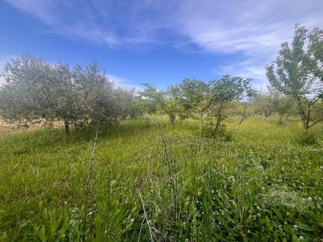 Terreno in vendita a Pesaro PU