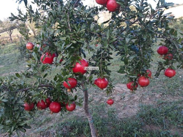 Terreno in vendita a Pesaro PU