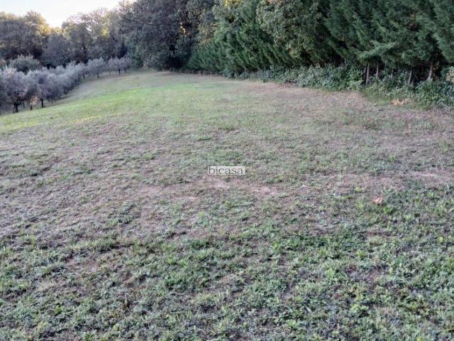 Terreno in vendita a Pesaro PU