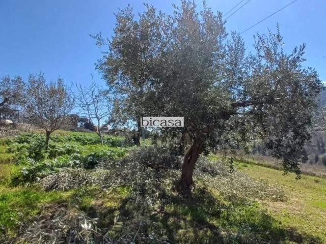 Terreno in vendita a Pesaro PU