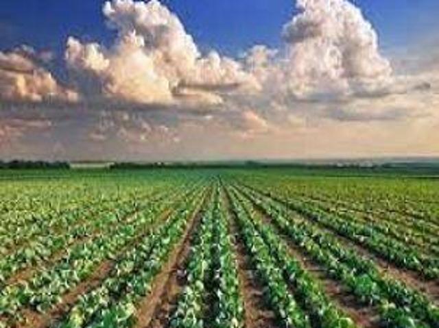 Terreno in vendita a Pesaro PU
