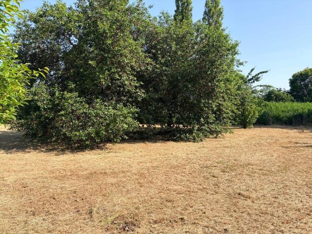 Terreno in vendita a Pesaro PU