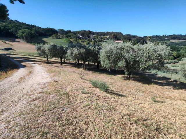Terreno in vendita a Pesaro PU