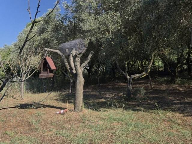 Terreno in vendita a Pesaro PU