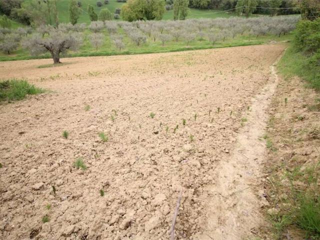 Terreno in vendita a Pesaro PU
