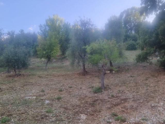Terreno in vendita a Peschici FG