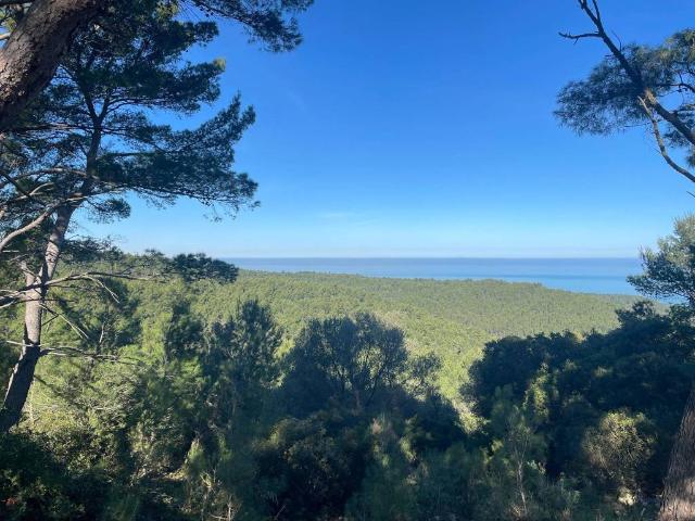 Terreno in vendita a Peschici FG
